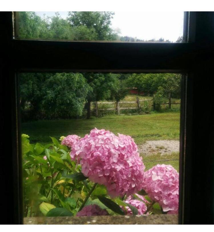 Casa Rural El Pozo Tremeo Sona ภายนอก รูปภาพ